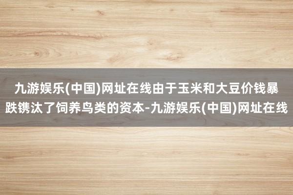 九游娱乐(中国)网址在线　　由于玉米和大豆价钱暴跌镌汰了饲养鸟类的资本-九游娱乐(中国)网址在线