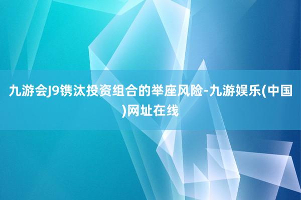 九游会J9镌汰投资组合的举座风险-九游娱乐(中国)网址在线