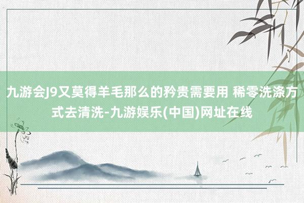九游会J9又莫得羊毛那么的矜贵需要用 稀零洗涤方式去清洗-九游娱乐(中国)网址在线
