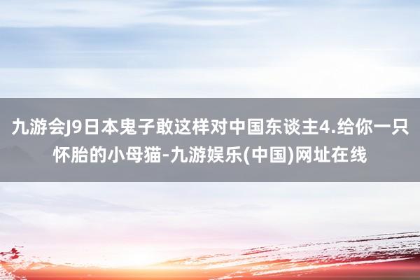 九游会J9日本鬼子敢这样对中国东谈主4.给你一只怀胎的小母猫-九游娱乐(中国)网址在线