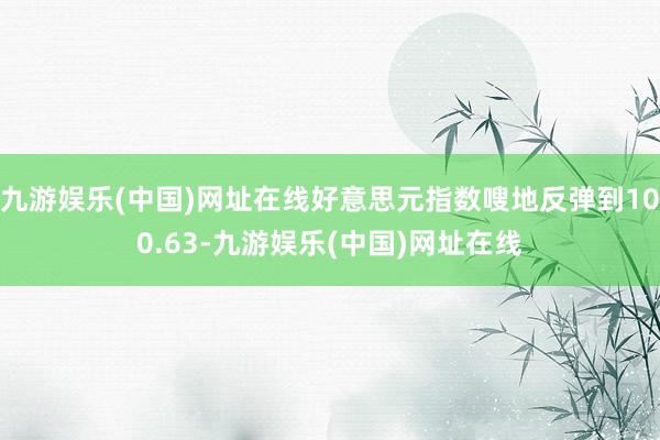 九游娱乐(中国)网址在线好意思元指数嗖地反弹到100.63-九游娱乐(中国)网址在线