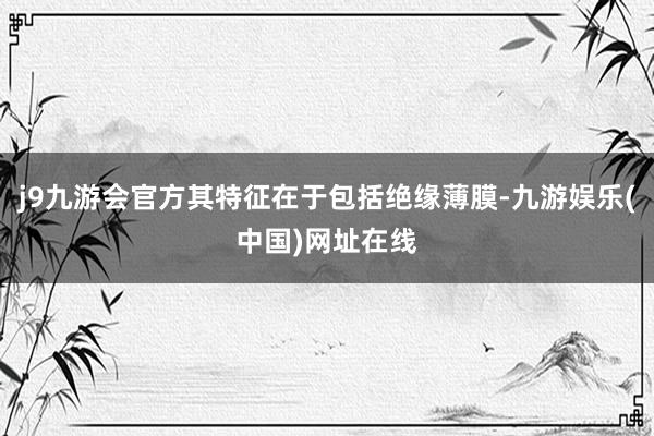j9九游会官方其特征在于包括绝缘薄膜-九游娱乐(中国)网址在线
