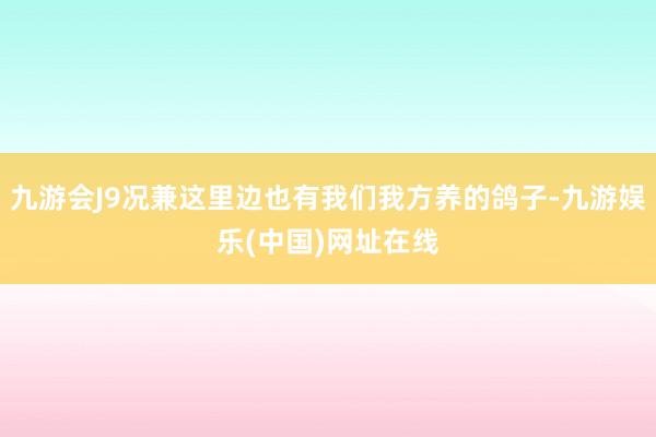 九游会J9况兼这里边也有我们我方养的鸽子-九游娱乐(中国)网址在线